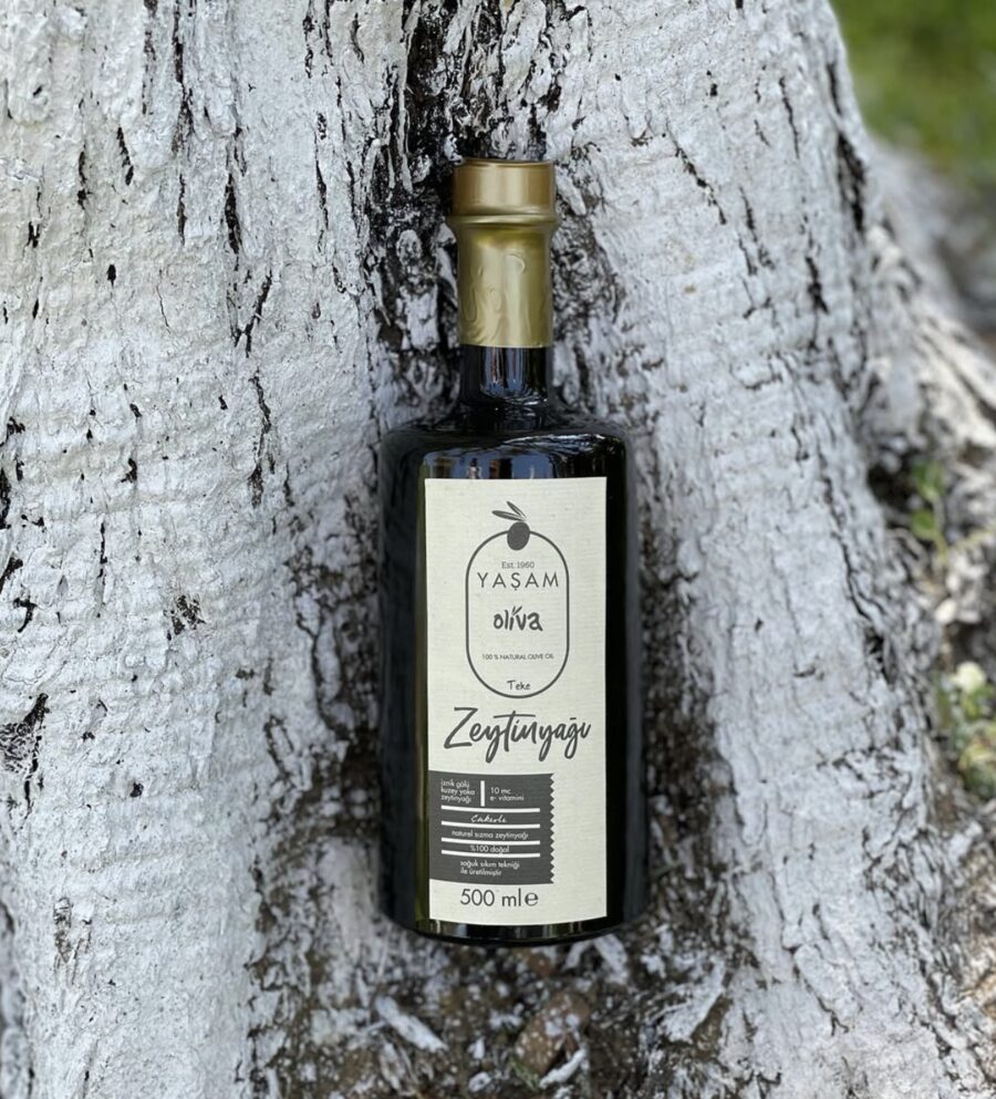 Yaşlı bir zeytin ağacının gövdesine yaslanmış 500 ml'lik Yaşam Oliva şişesi
